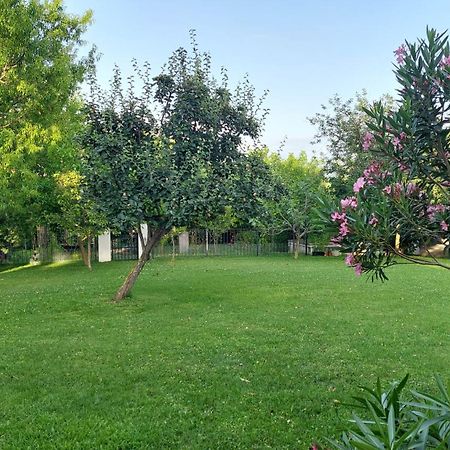 Apartment Oaza Relax Κόπερ Εξωτερικό φωτογραφία
